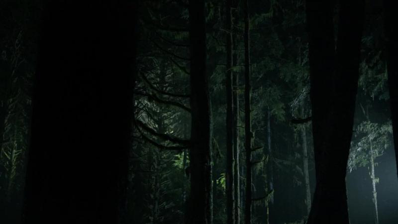 Кадры из сериала Сотня (2014)